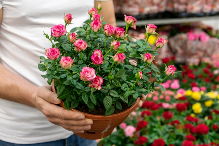 Expert Flower Farming at Your Greenink